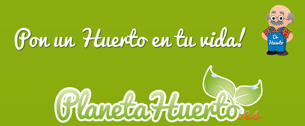 como montar un huerto