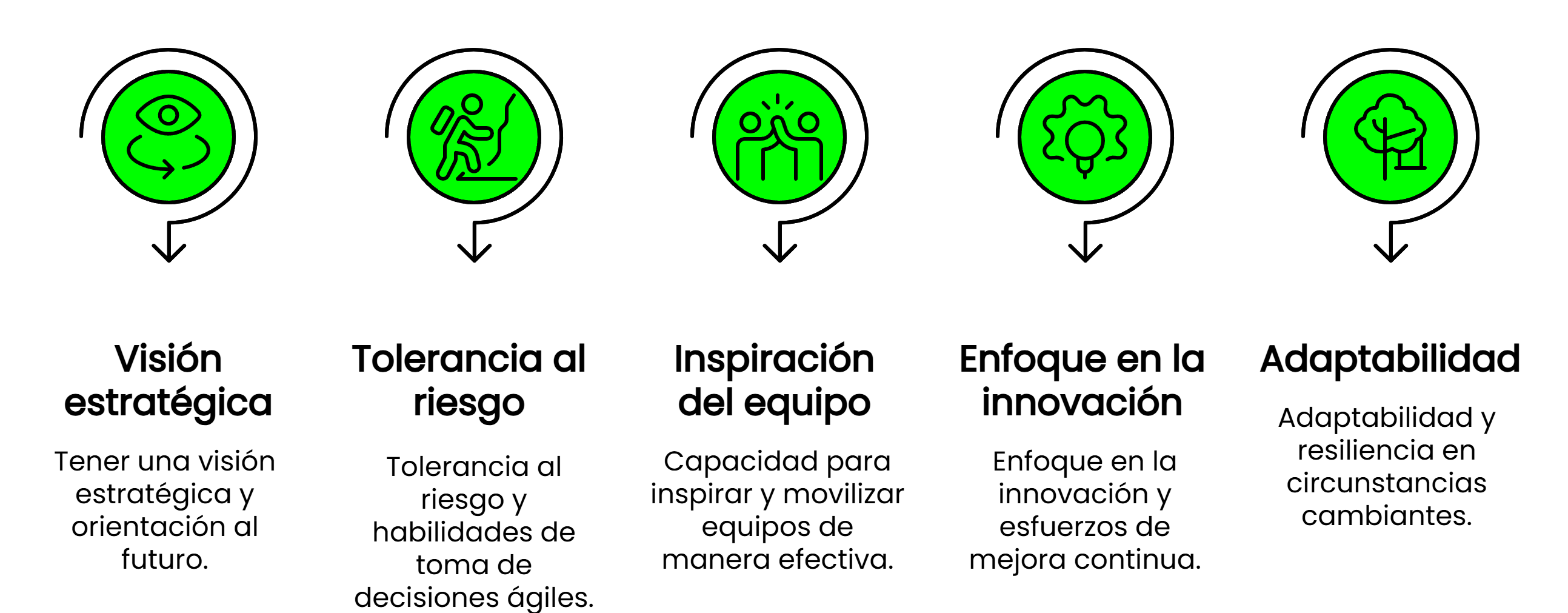 Infografía: 5 pilares del liderazgo emprendedor - visión estratégica, tolerancia al riesgo, innovación y adaptabilidad según Vilma Núñez