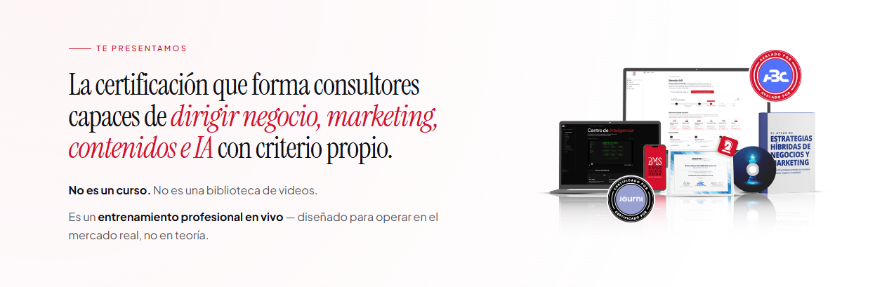 business marketing strategy. programa de marketing y negocios para consultores. vilma núñez. banner