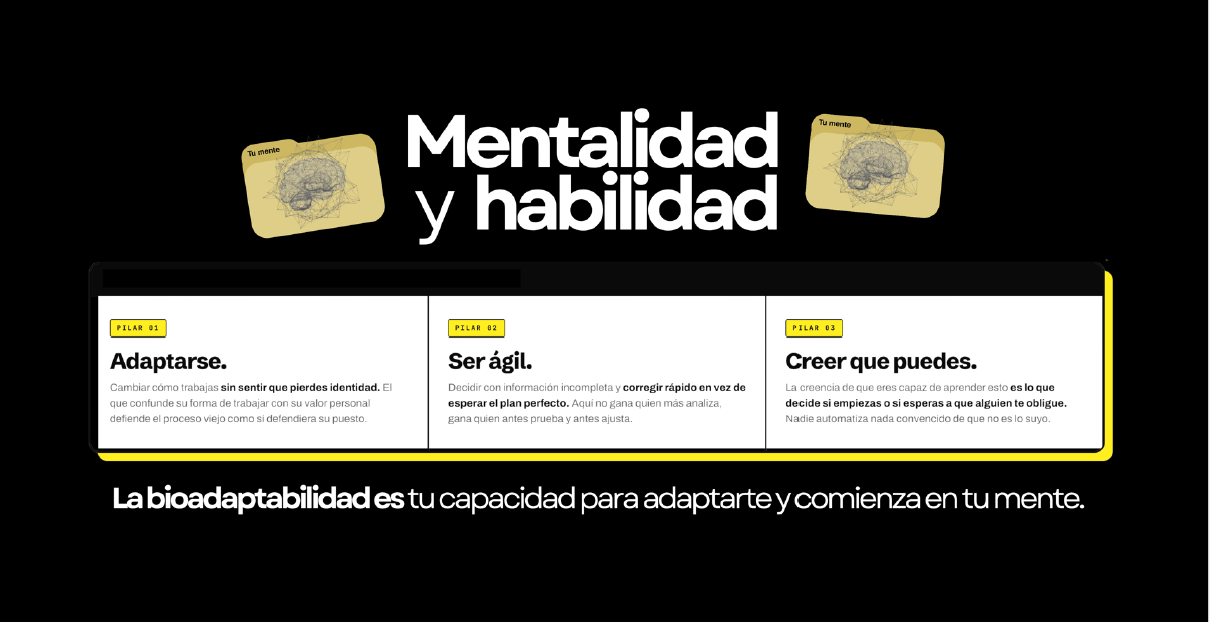 bioadaptabilidad en IA. infografía
