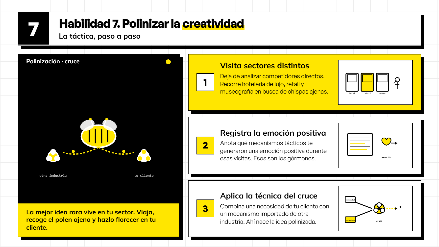 Infografía de la Habilidad 7 sobre polinizar la creatividad, mostrando los 3 pasos tácticos para importar mecanismos de otras industrias y crear experiencias memorables de cliente sin copiar a la competencia.